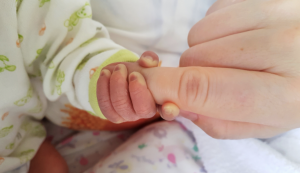 Momentum proposes 26 weeks paid maternity leave and one year paid parental leave